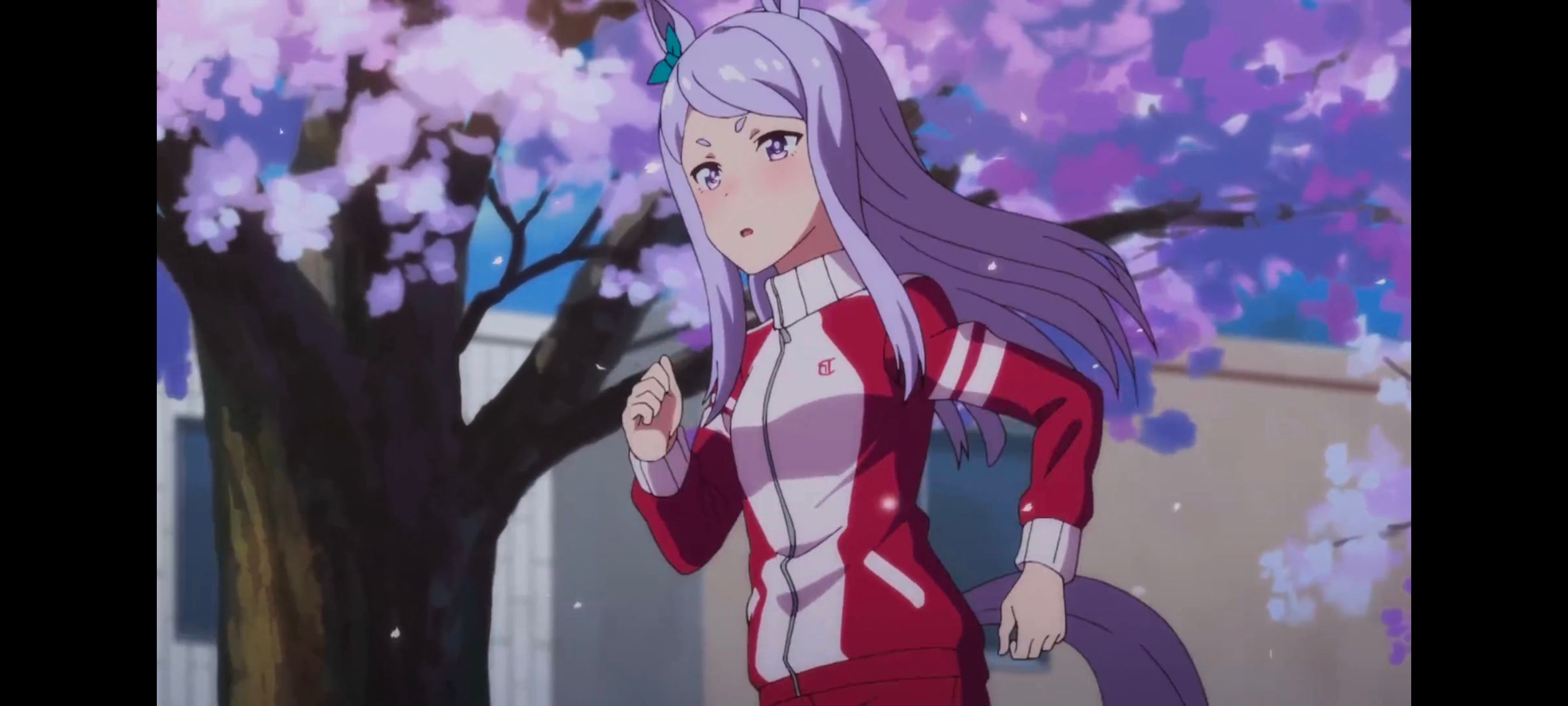 赛马娘,赛马娘PrettyDreby,动画,动漫,AMV,MAD,二次元,ACG