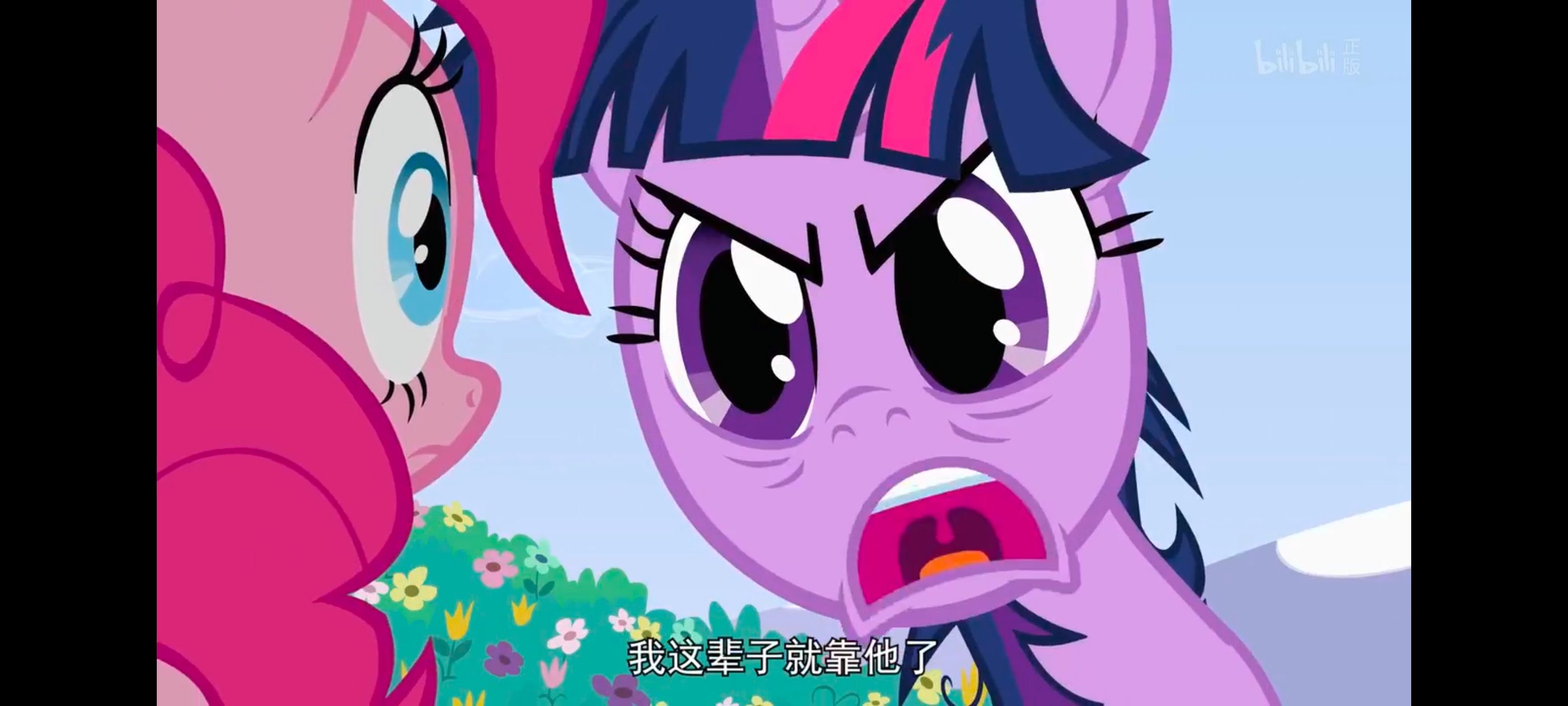 小马宝莉,小马宝莉友谊魔法,彩虹小马,我的小马驹,动画,动漫,番剧,ACG