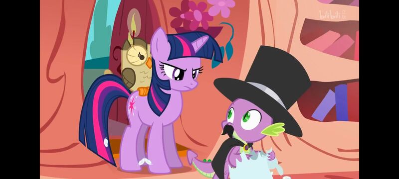 小马宝莉,彩虹小马,我的小马驹,动画,动漫,番剧,ACG,小马宝莉友谊魔法