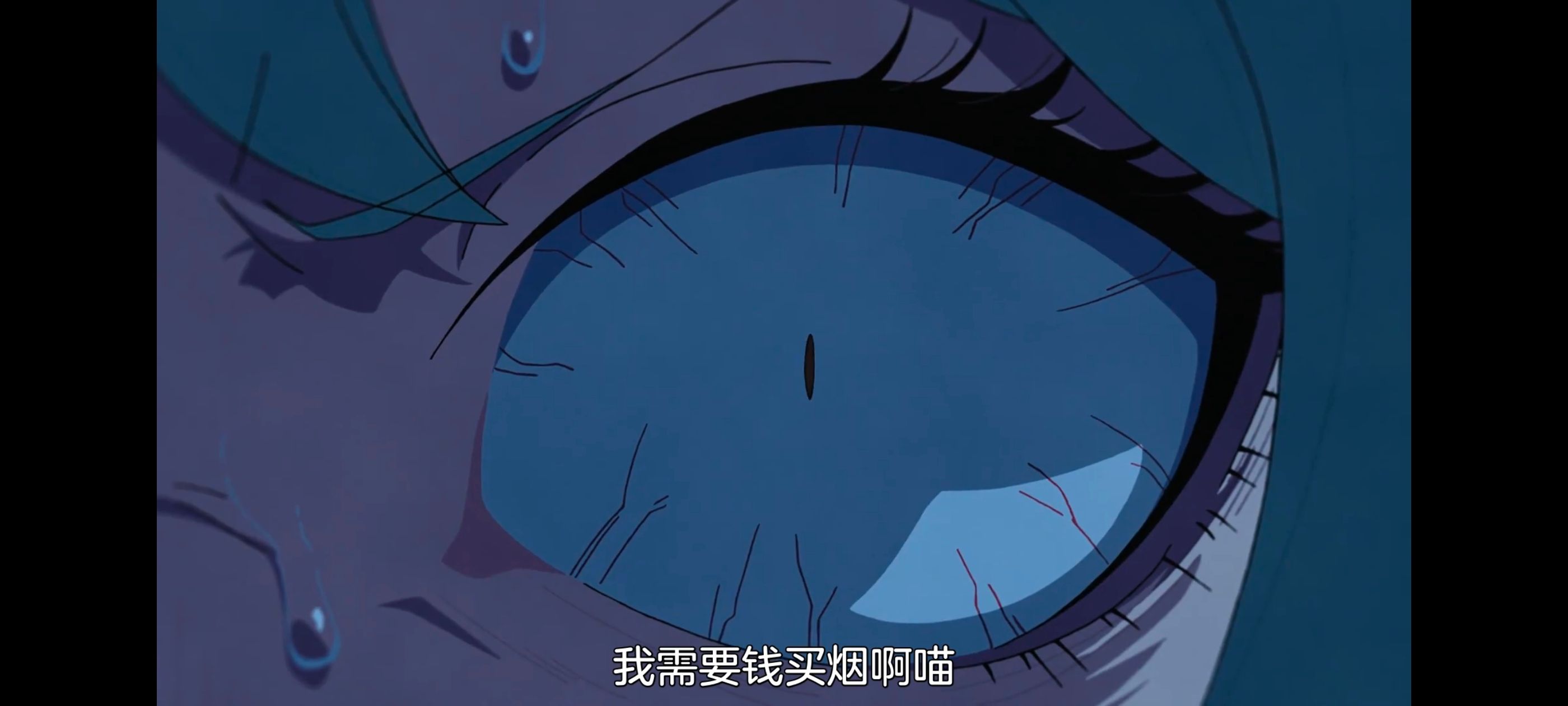 尼古喵喵,雅尼猫,动画,动漫,番剧,二次元,日漫,ACG