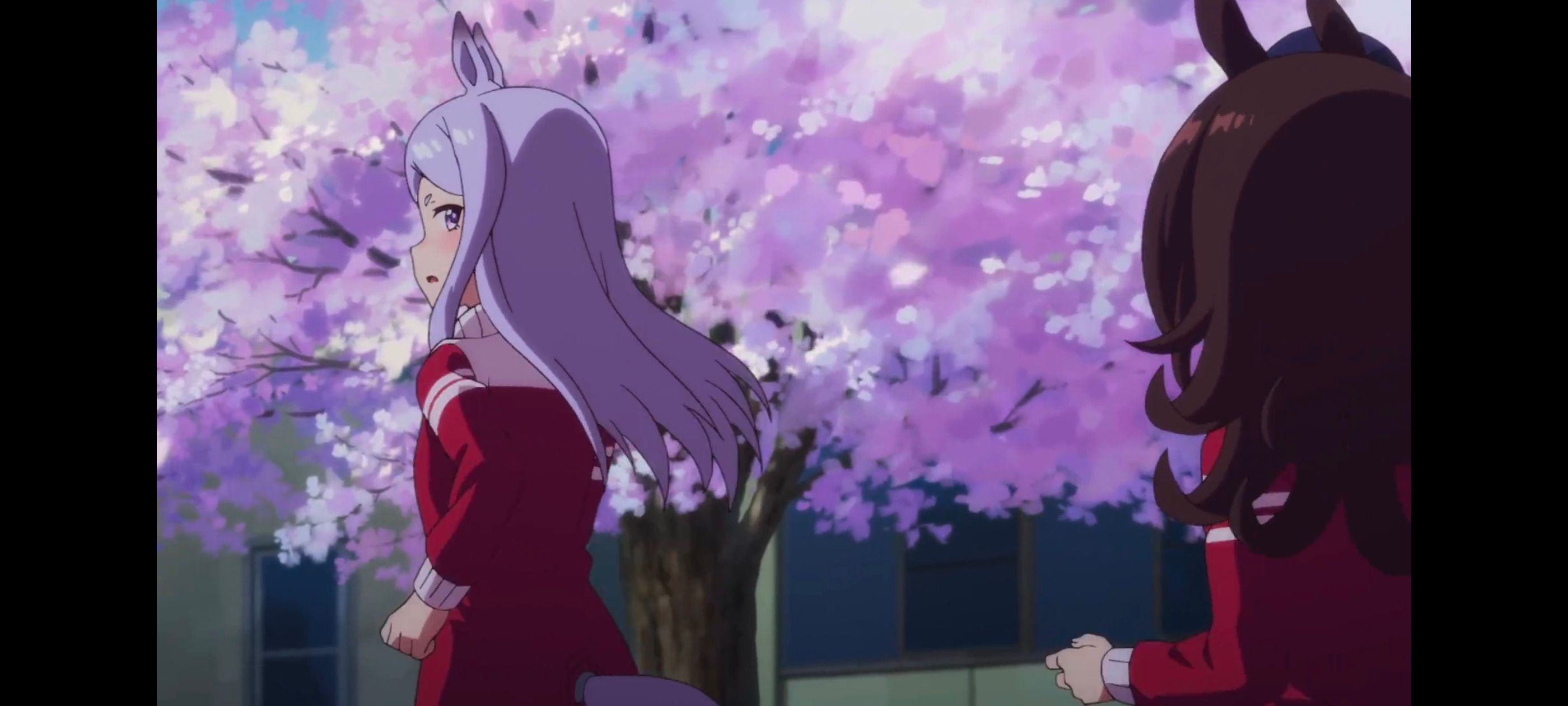 赛马娘,赛马娘PrettyDreby,动画,动漫,AMV,MAD,二次元,ACG