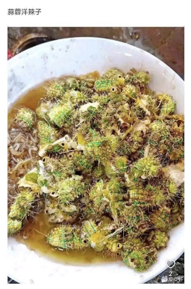 四菜一汤,饭菜,黑暗料理