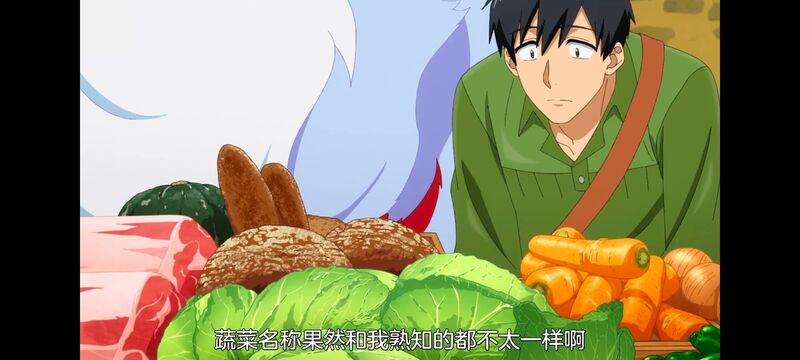 网购技能开启异世界美食之旅,拥有超常技能的异世界流浪美食家,动漫,动画,番剧,ACG