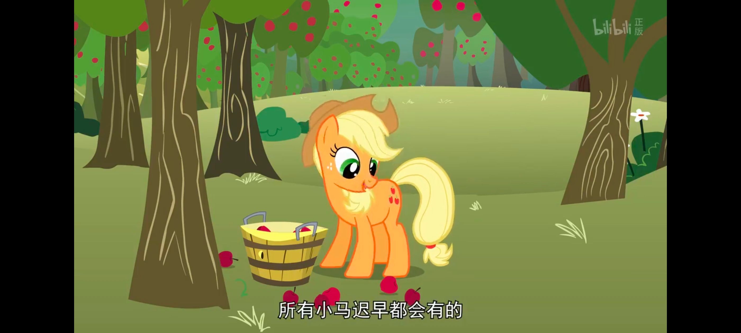 小马宝莉,小马宝莉友谊魔法,彩虹小马,我的小马驹,动画,动漫,番剧,ACG