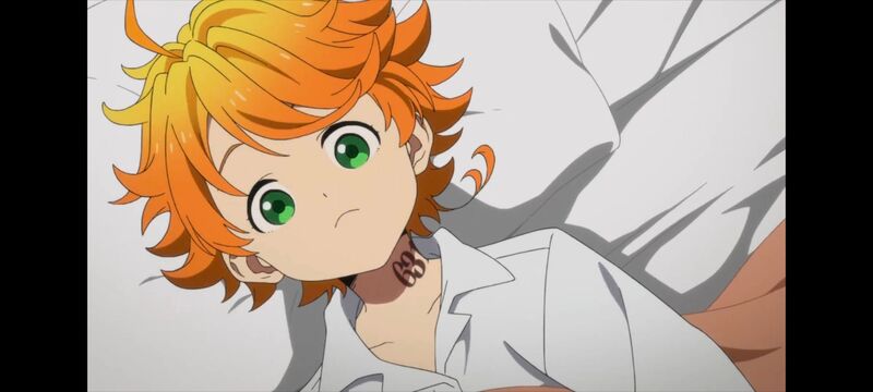 约定的梦幻岛,动画,动漫,番剧,ACG