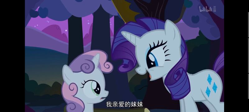 小马宝莉,小马宝莉友谊魔法,彩虹小马,我的小马驹,动画,动漫,番剧,ACG