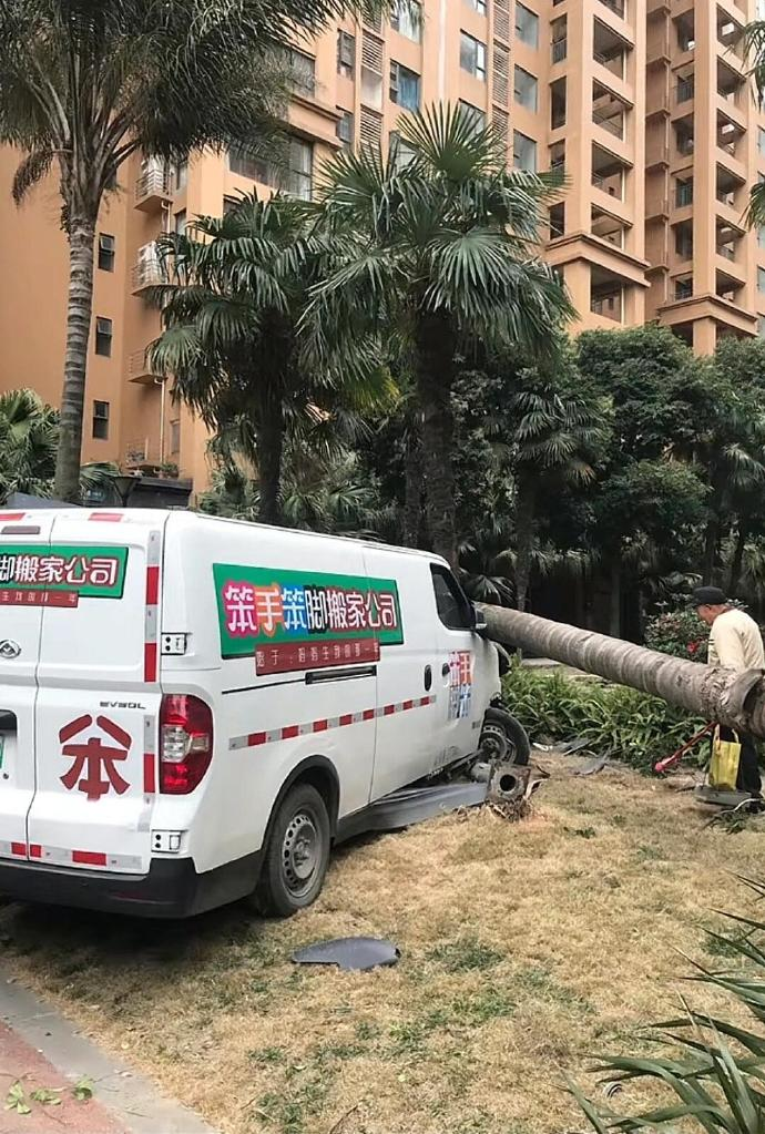 弔图,meme,迷因