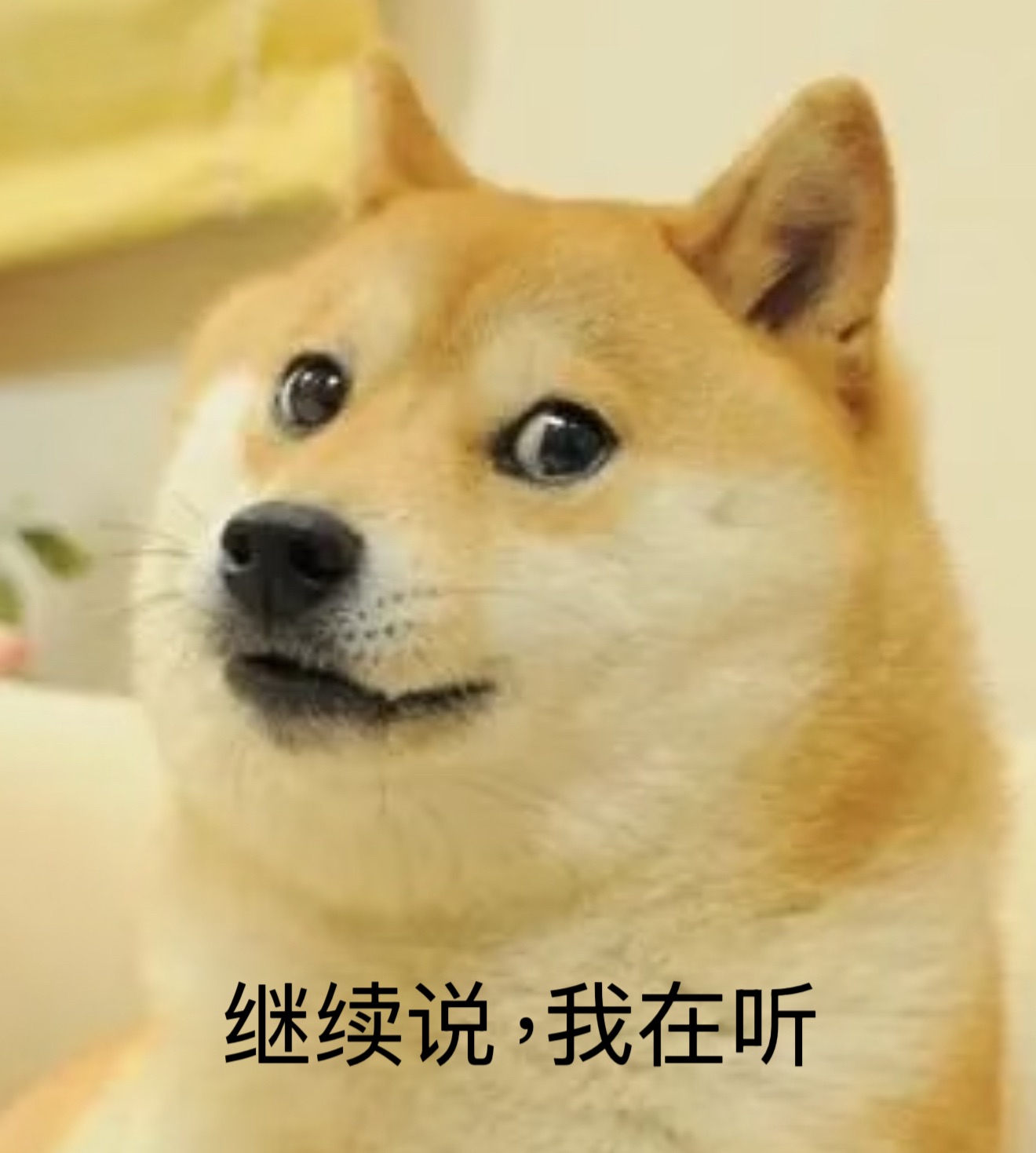 蓝与白工作室,星空栏目