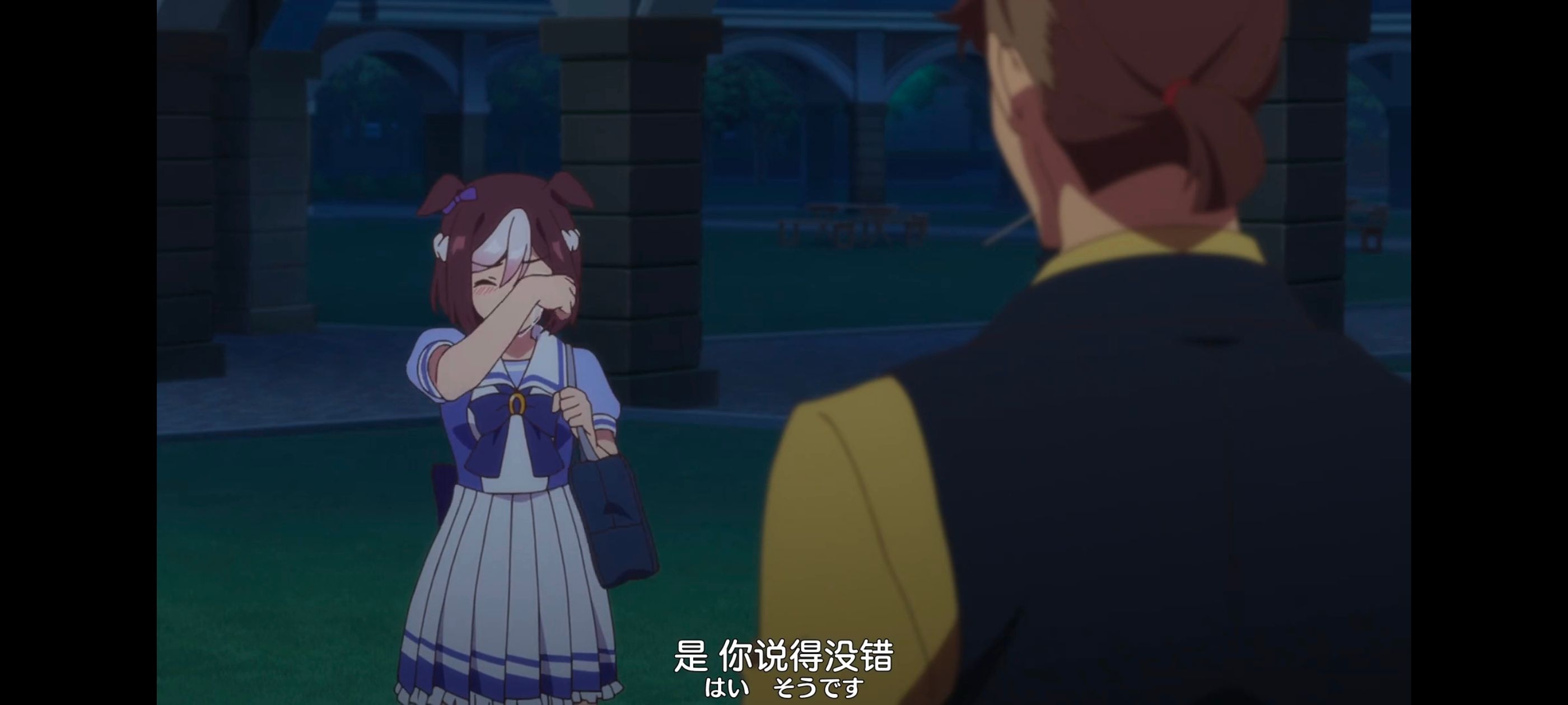 赛马娘,赛马娘PrettyDreby,动画,动漫,番剧,ACG