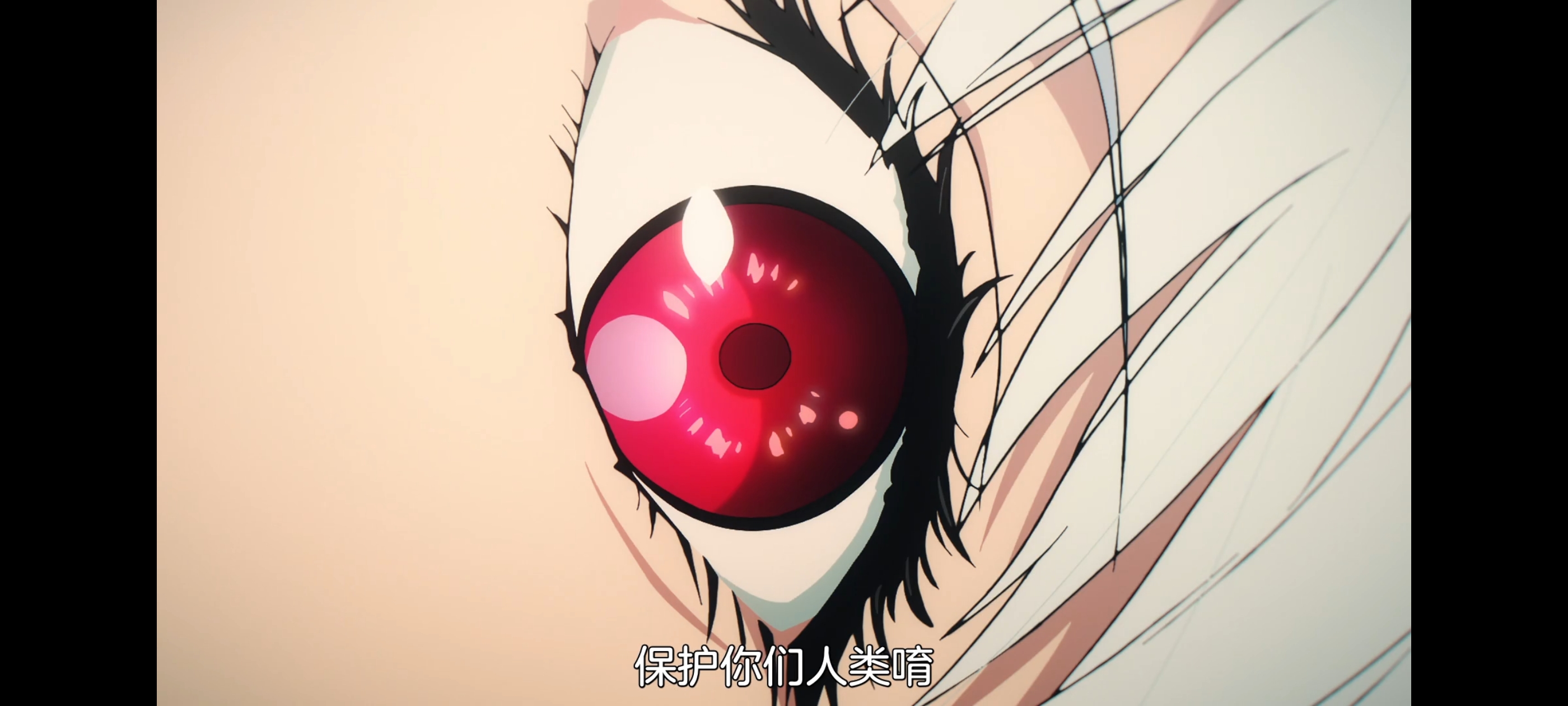 命运奇异赝品,FATE,FatestrangeFake,动画,动漫,番剧,二次元,ACG