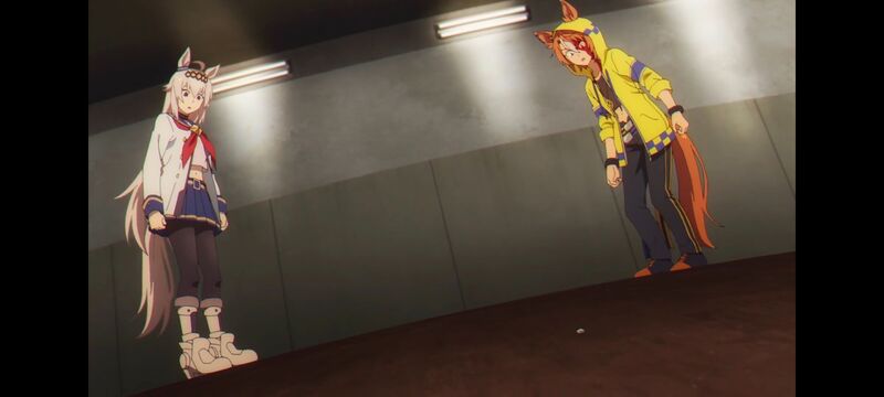 赛马娘,赛马娘PrettyDreby,芦毛灰姑娘,赛马娘芦毛灰姑娘,动画,动漫,番剧,ACG