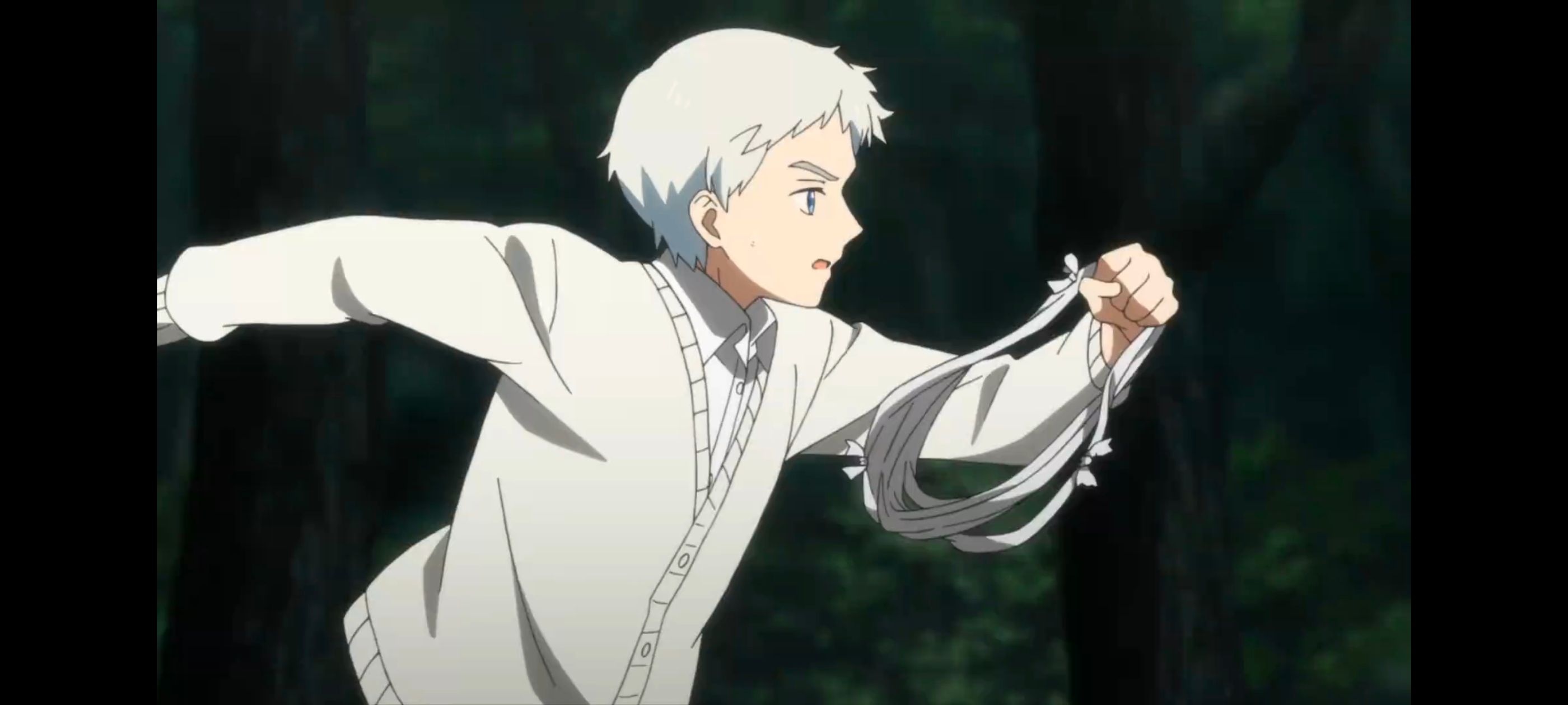 约定的梦幻岛,动画,动漫,番剧,二次元,ACG