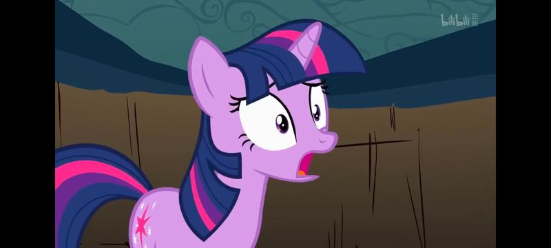 小马宝莉,小马宝莉友谊魔法,彩虹小马,我的小马驹,动画,动漫,番剧,ACG