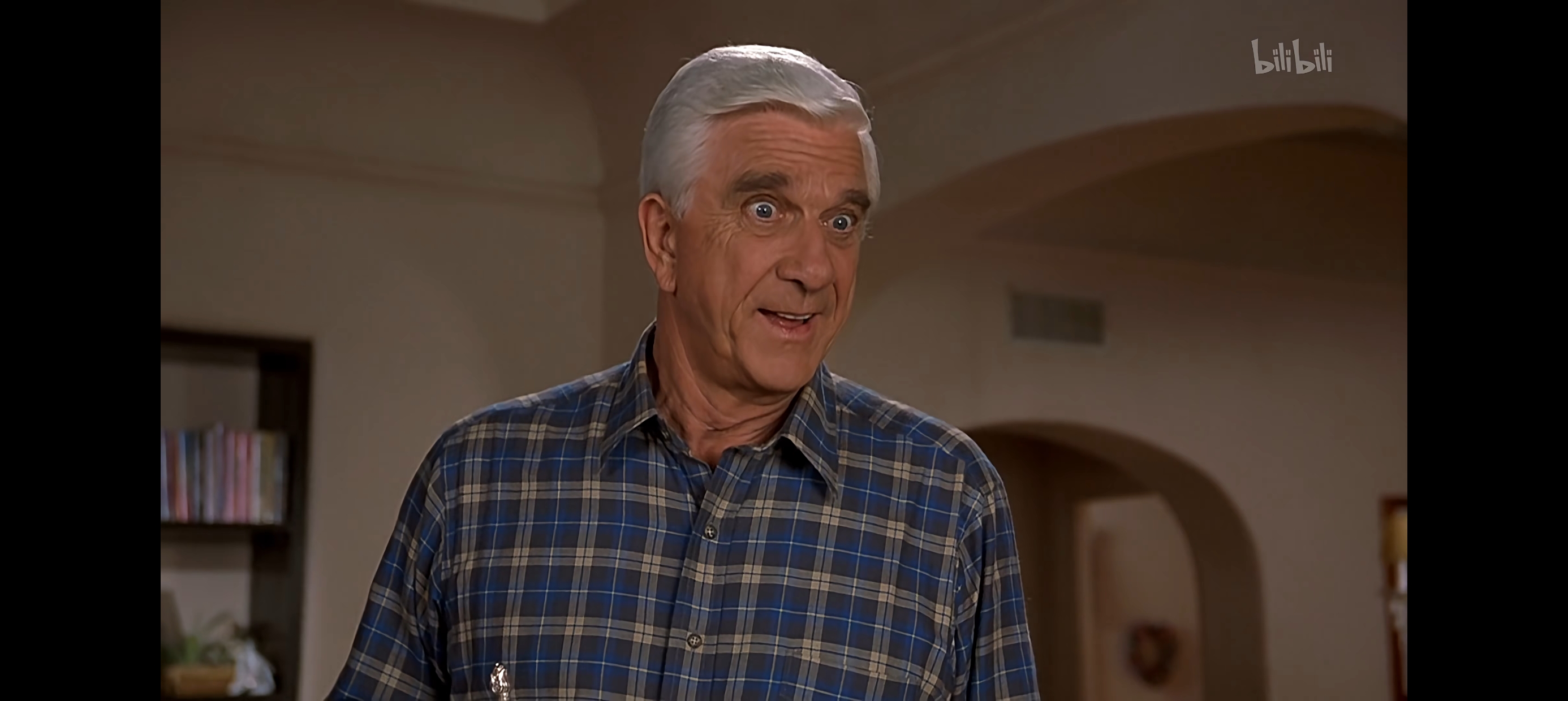 文章,观后有感,白头神探,笑弹龙虎榜,The Naked Gun,电影,美剧