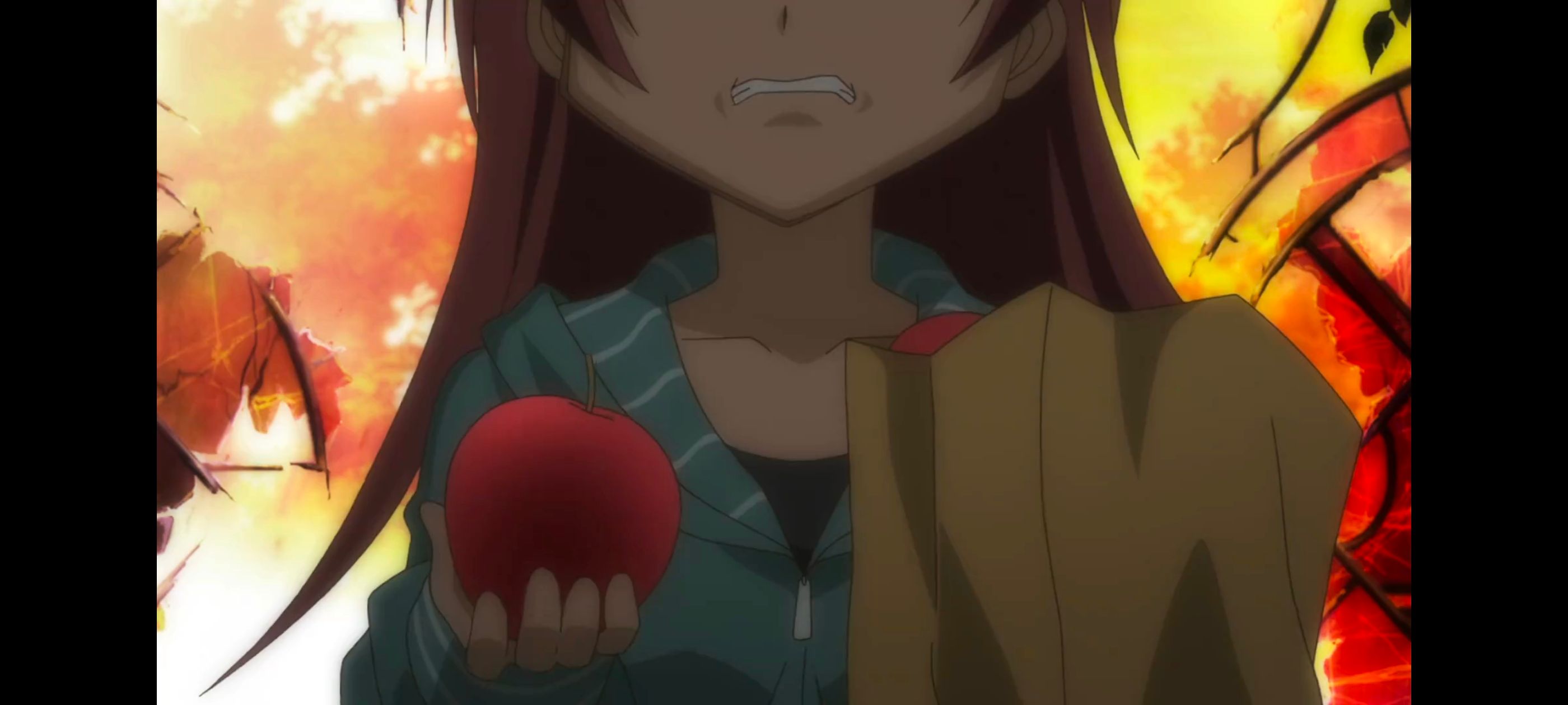 魔法少女小圆,魔法少女,动画,动漫,番剧,二次元,ACG