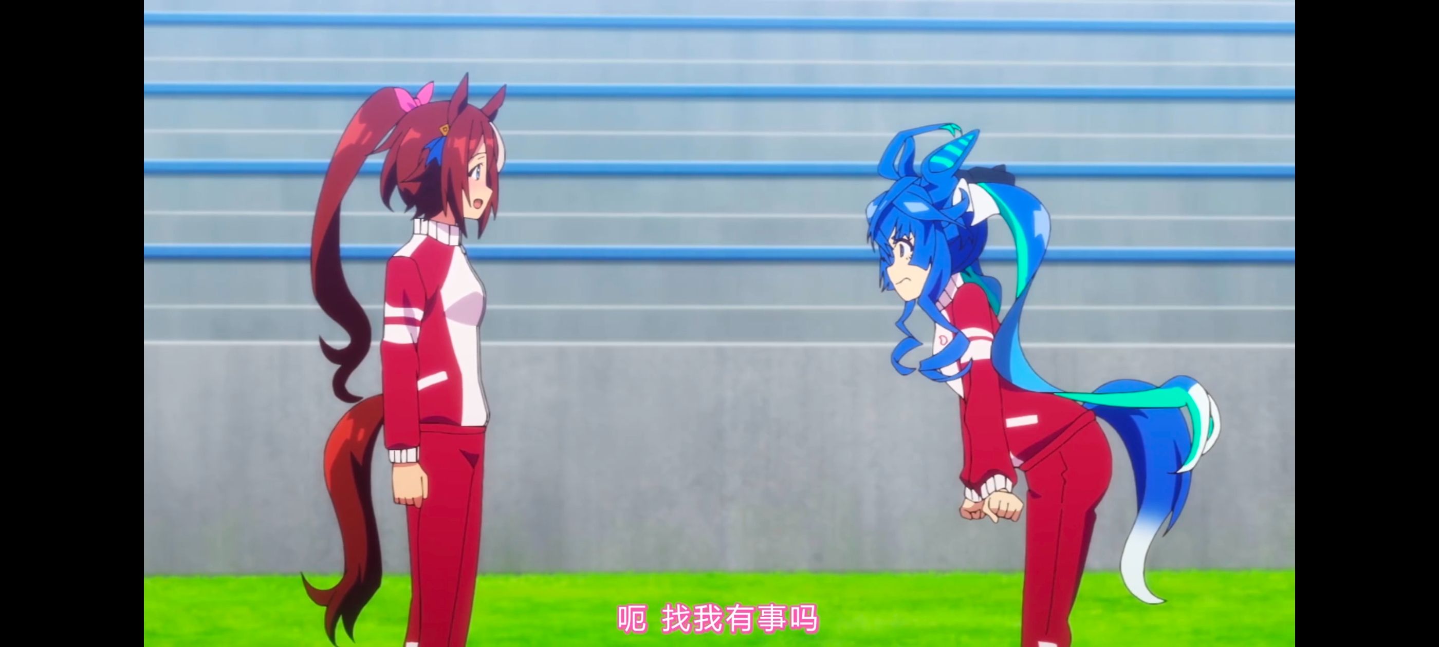 赛马娘,赛马娘PrettyDreby,赛马娘第二季,动画,动漫,番剧,二次元,ACG