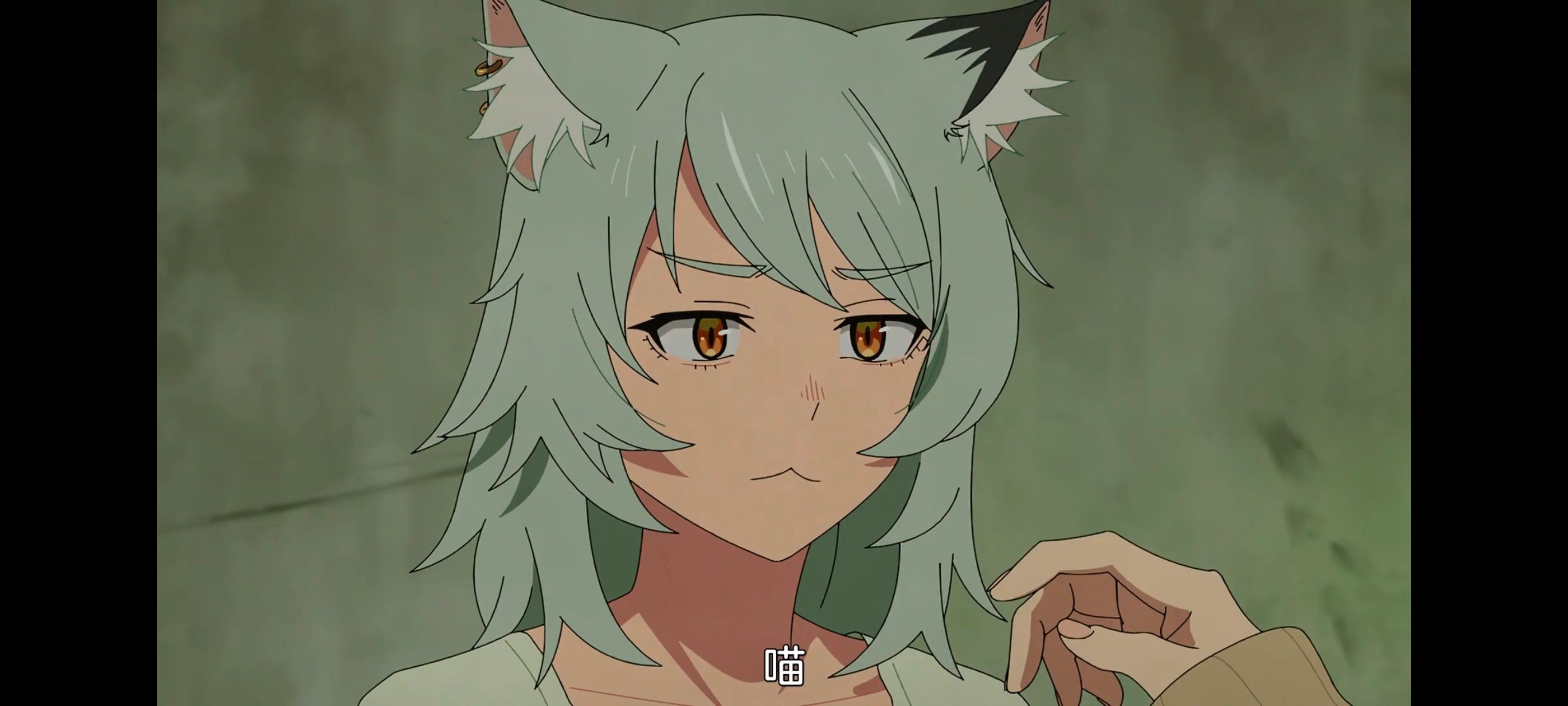 雅尼猫,尼古喵喵,动画,动漫,番剧,日漫,二次元,ACG