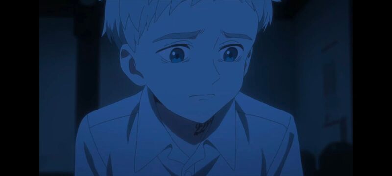 约定的梦幻岛,动画,动漫,番剧,ACG