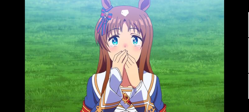 赛马娘,赛马娘PrettyDreby,动画,动漫,番剧,ACG