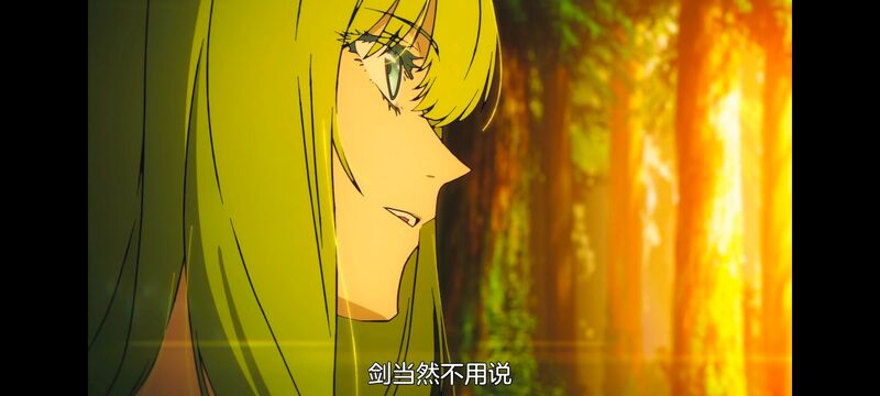 命运奇异赝品,FatestrangeFake,动画,动漫,番剧,ACG