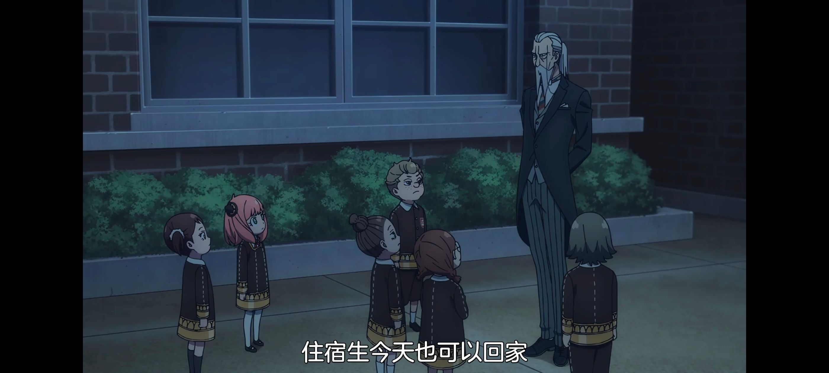 间谍过家家,SPYFAMILY,动画,动漫,番剧,ACG