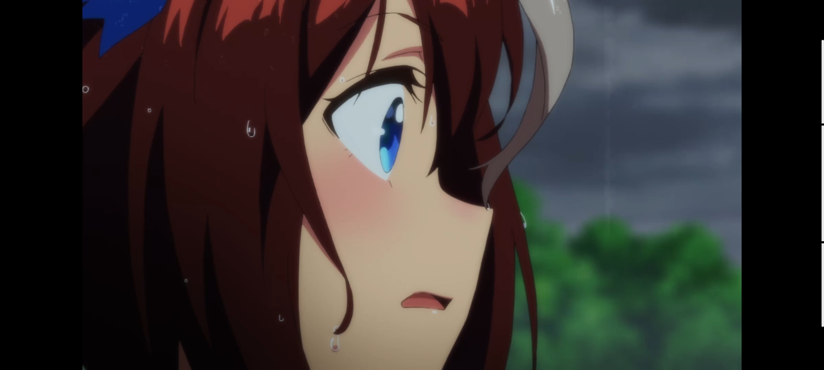 赛马娘,赛马娘第二季,赛马娘PrettyDerby,动画,动漫,番剧,二次元,ACG