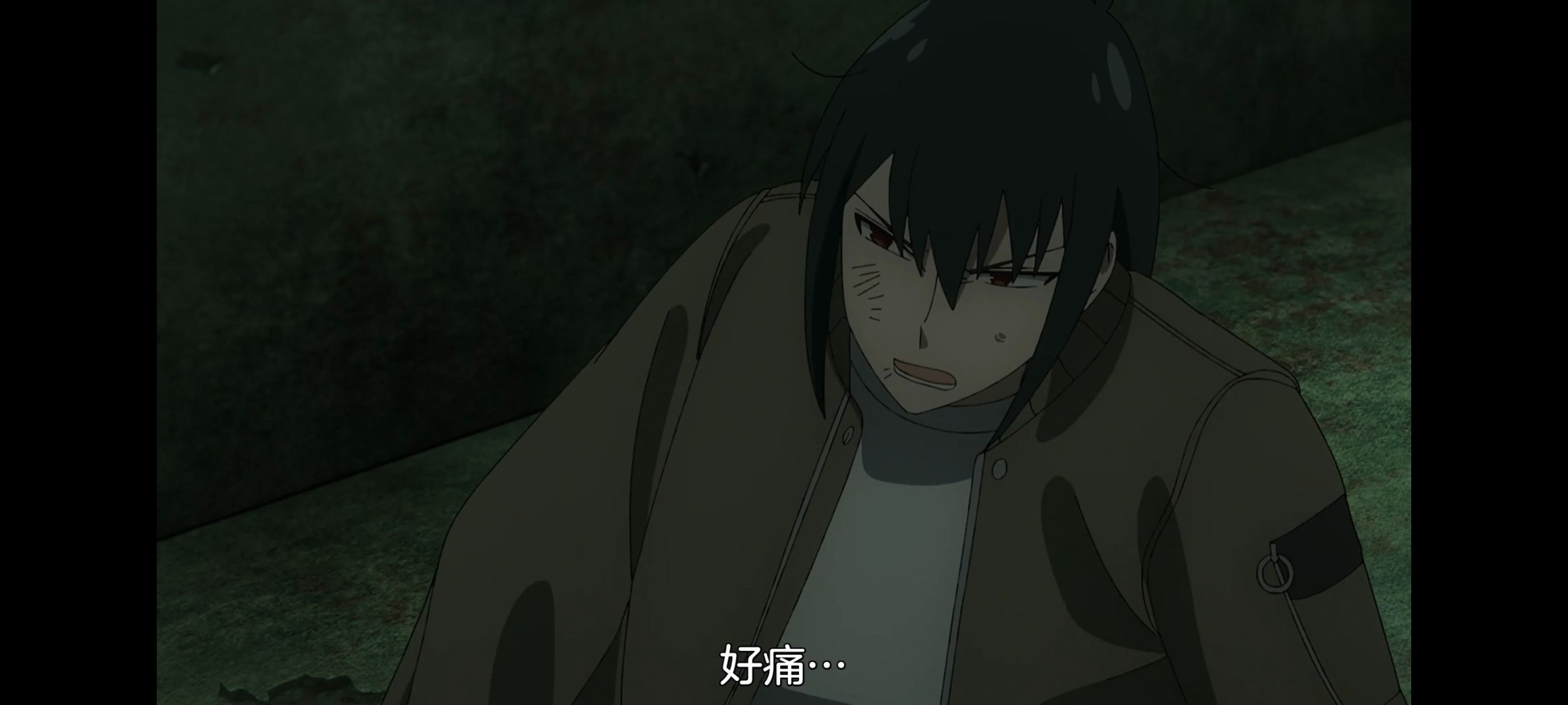 间谍过家家,SPYFAMILY,动画,动漫,番剧,ACG