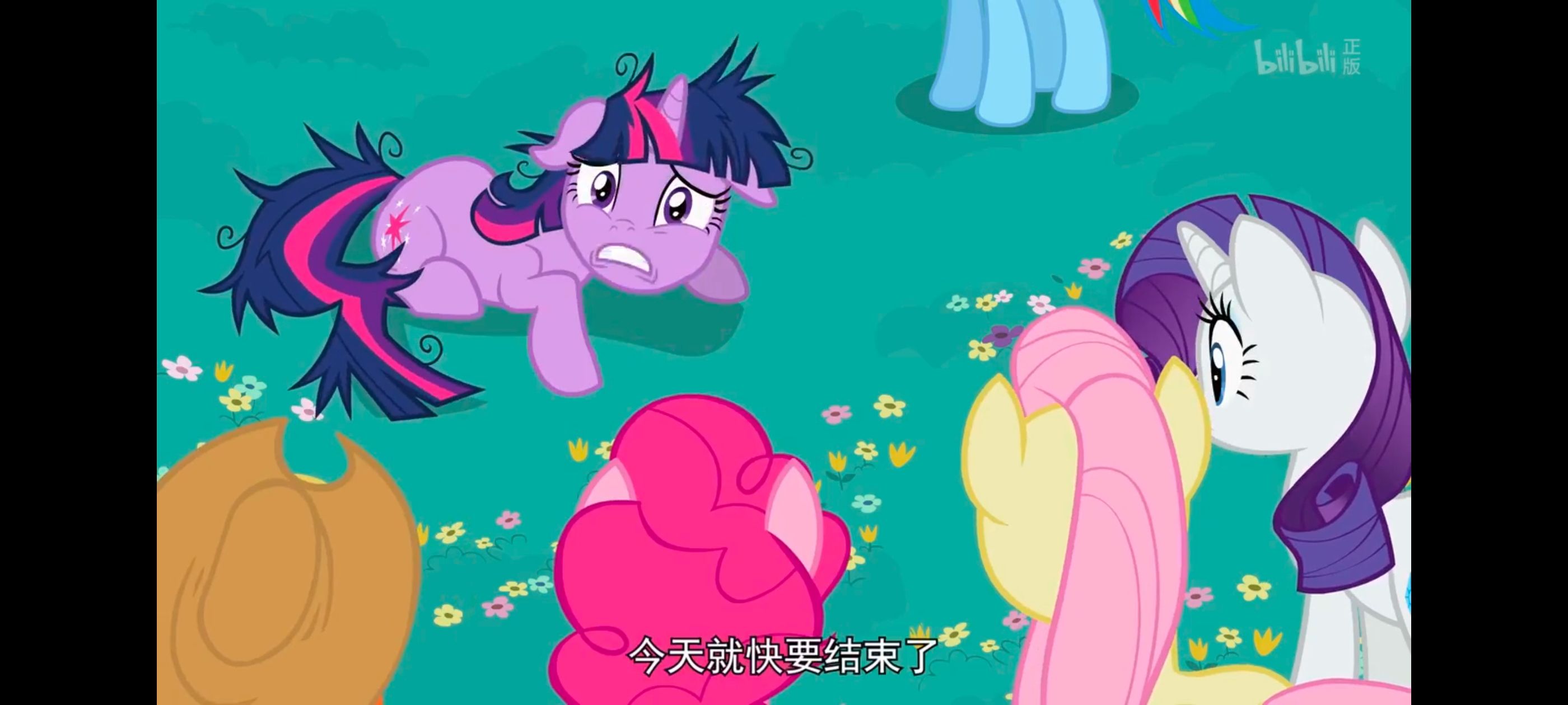 小马宝莉,小马宝莉友谊魔法,彩虹小马,我的小马驹,动画,动漫,番剧,ACG