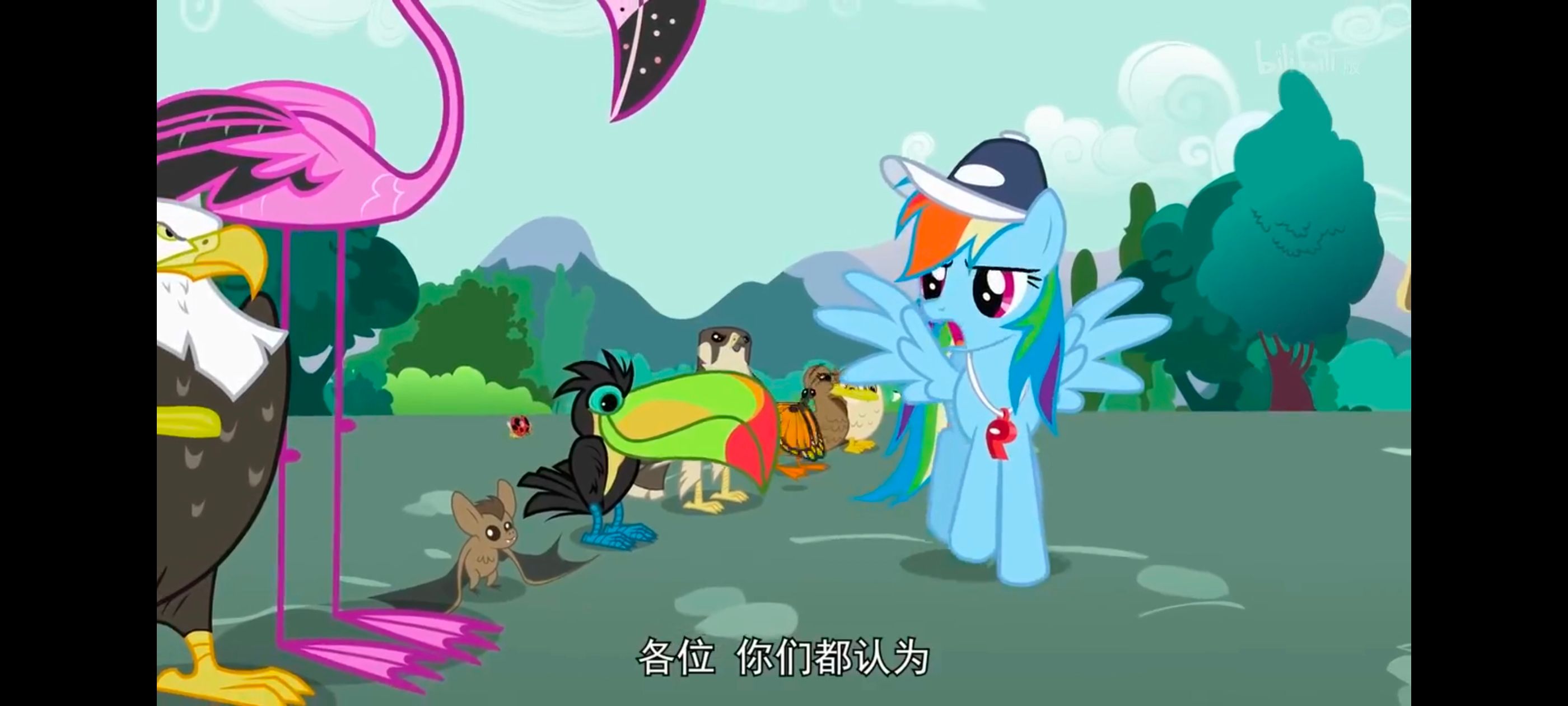 小马宝莉,彩虹小马,我的小马驹,动画,动漫,番剧,二次元,ACG