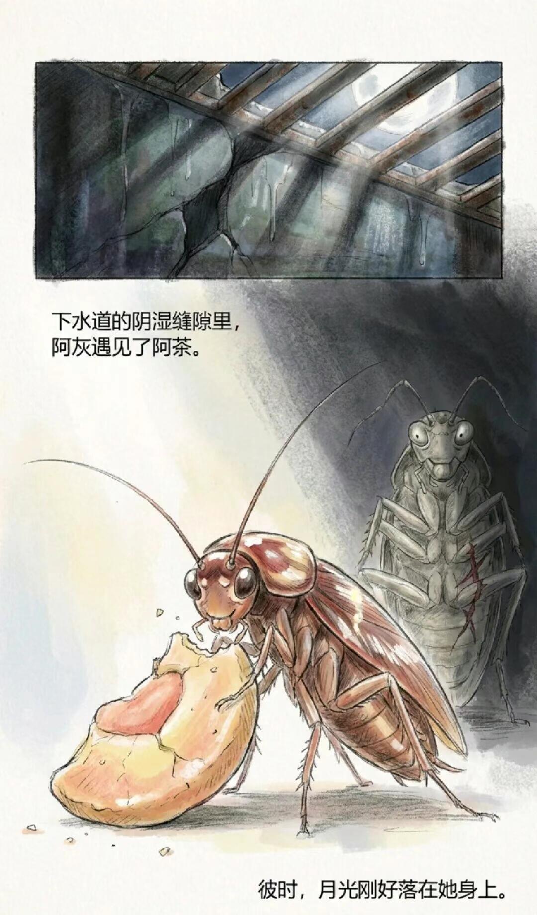 猎奇,故事,恋爱