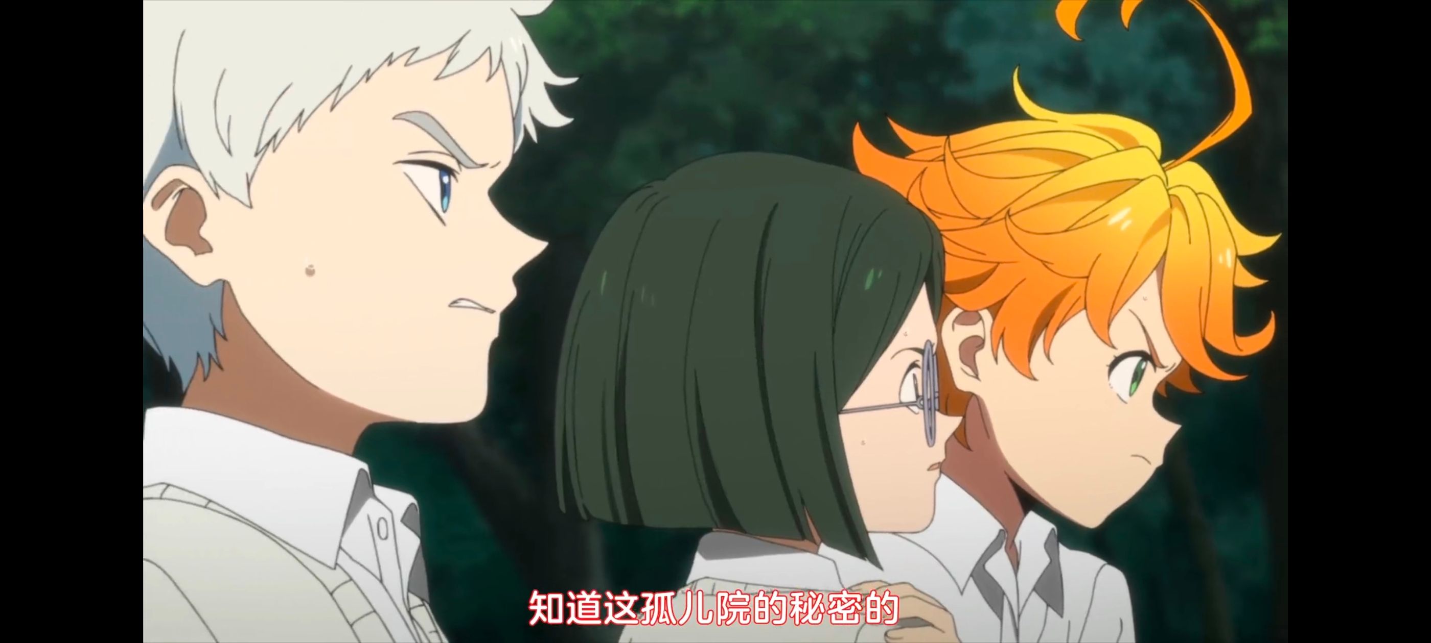 约定的梦幻岛,动画,动漫,番剧,ACG