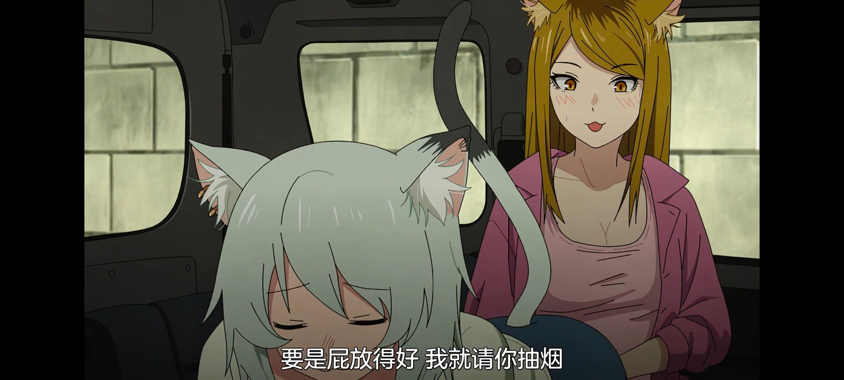 雅尼猫,尼古喵喵,动画,动漫,番剧,日漫,二次元,ACG