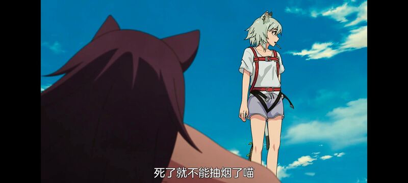 尼古喵喵,雅尼猫,动画,动漫,番剧,日漫,二次元,ACG