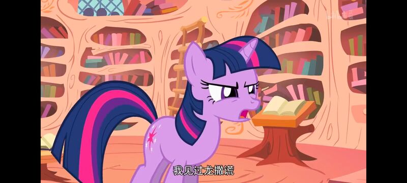 小马宝莉,彩虹小马,我的小马驹,动画,动漫,番剧,ACG,小马宝莉友谊魔法