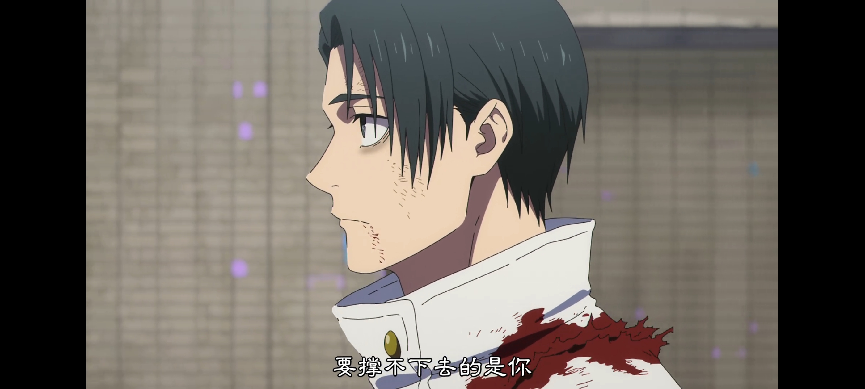 咒术回战,咒术回战死灭回游,动画,动漫,番剧,二次元,ACG