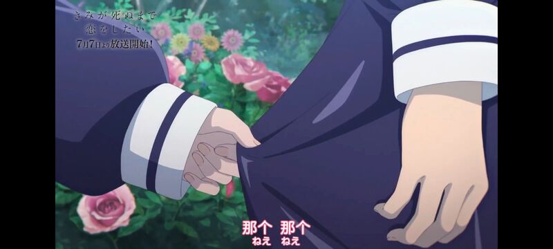 与你相恋到生命尽头,与你相恋到世界尽头,动画,动漫,番剧,百合,二次元,ACG