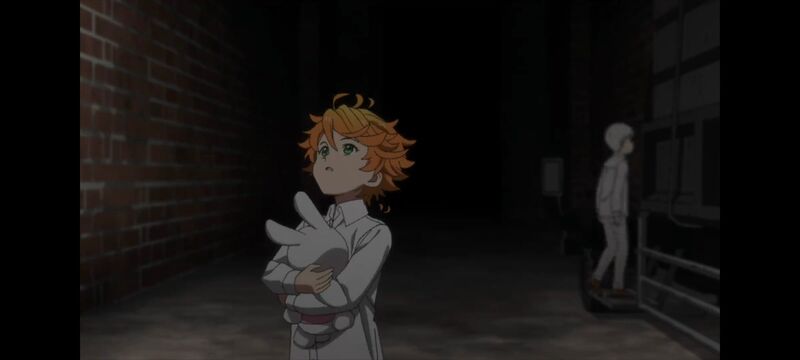 约定的梦幻岛,动画,动漫,番剧,ACG