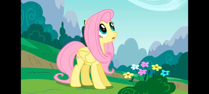 小马宝莉,小马宝莉友谊魔法,彩虹小马,我的小马驹,动画,动漫,番剧,ACG