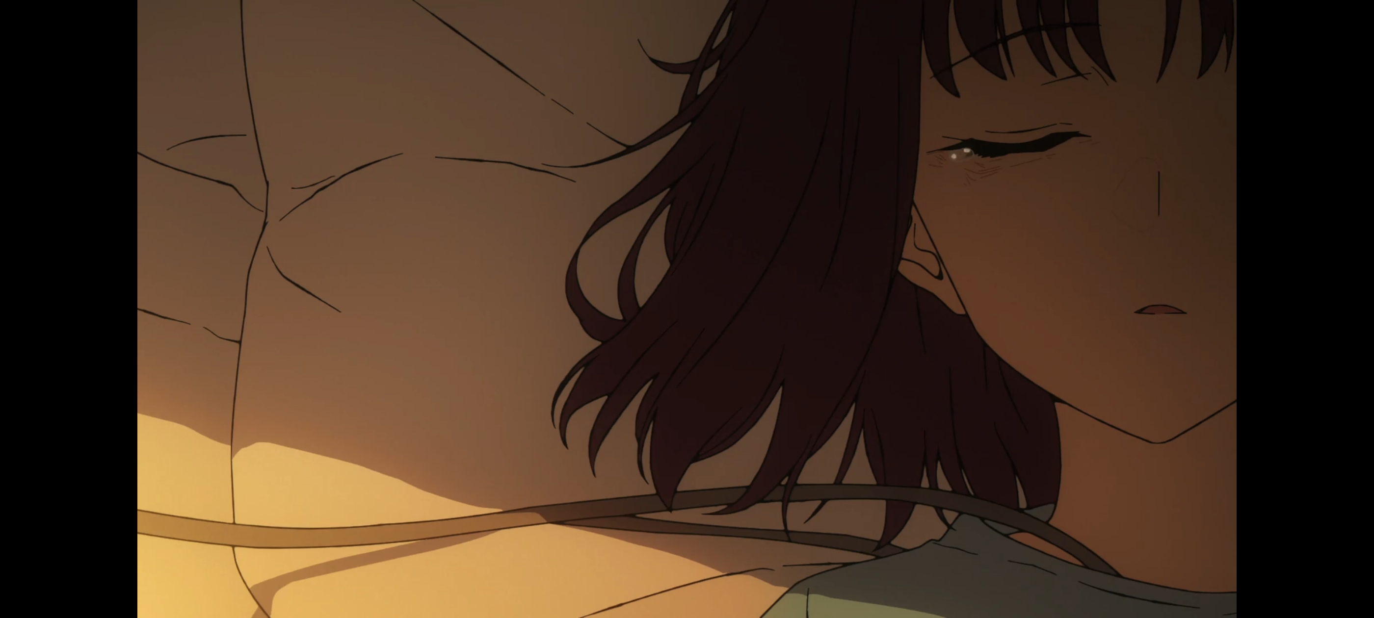 FATE,命运奇异赝品,FatestrangeFake,动画,动漫,番剧,二次元,ACG