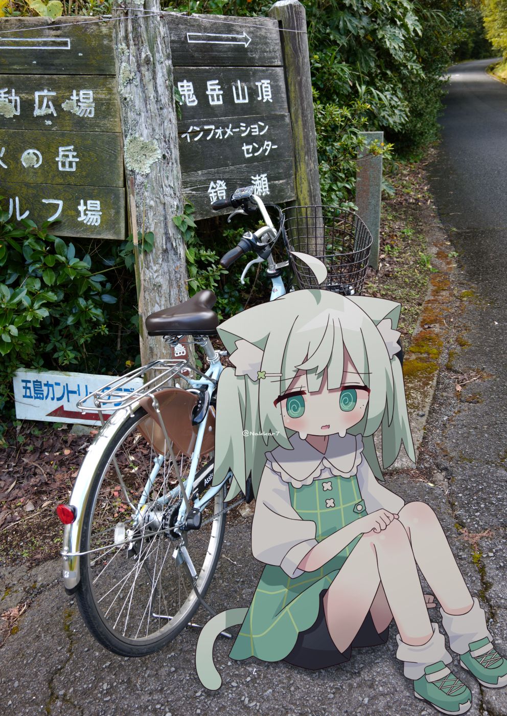 pixiv,猫娘,二次元,绘画,壁纸,美少女