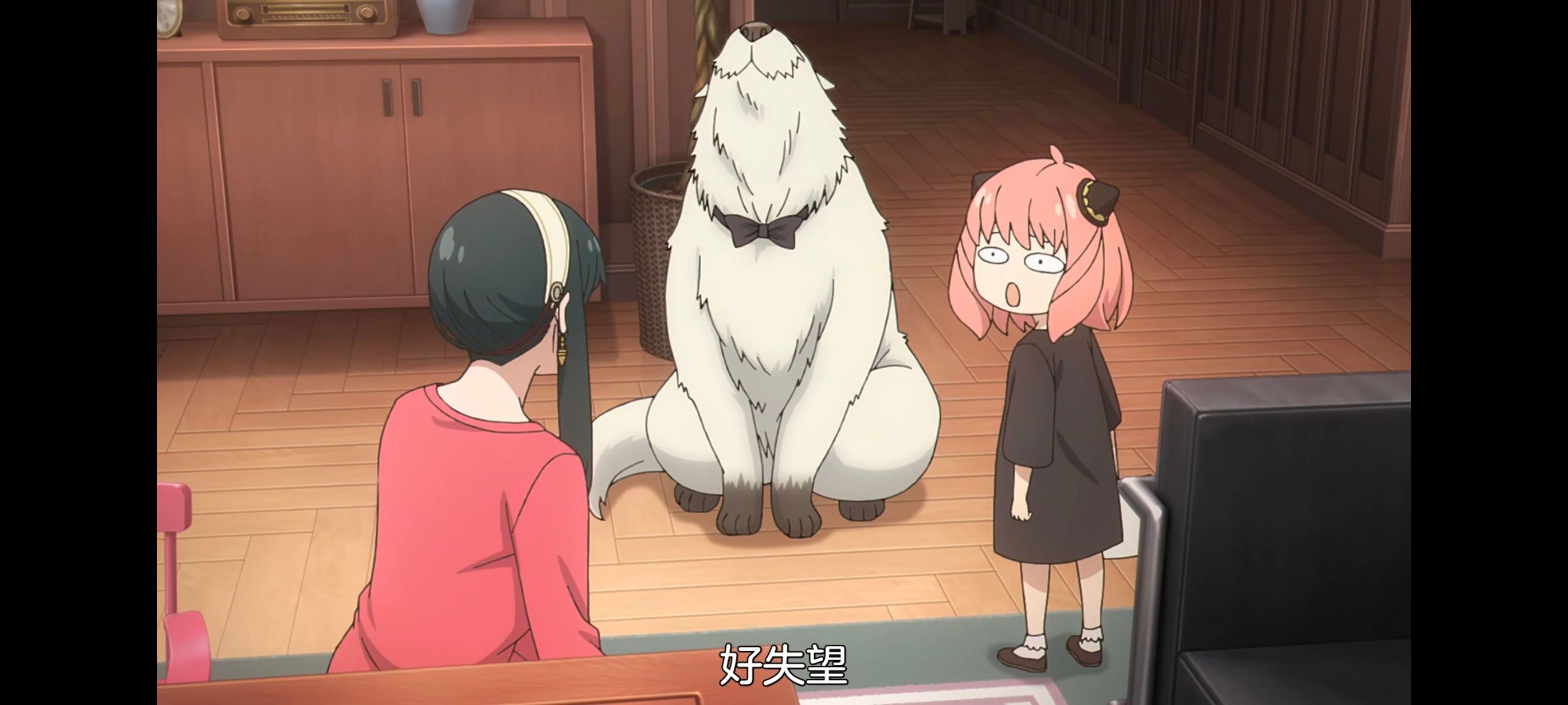 间谍过家家,SPYFAMILY,动画,动漫,番剧,ACG