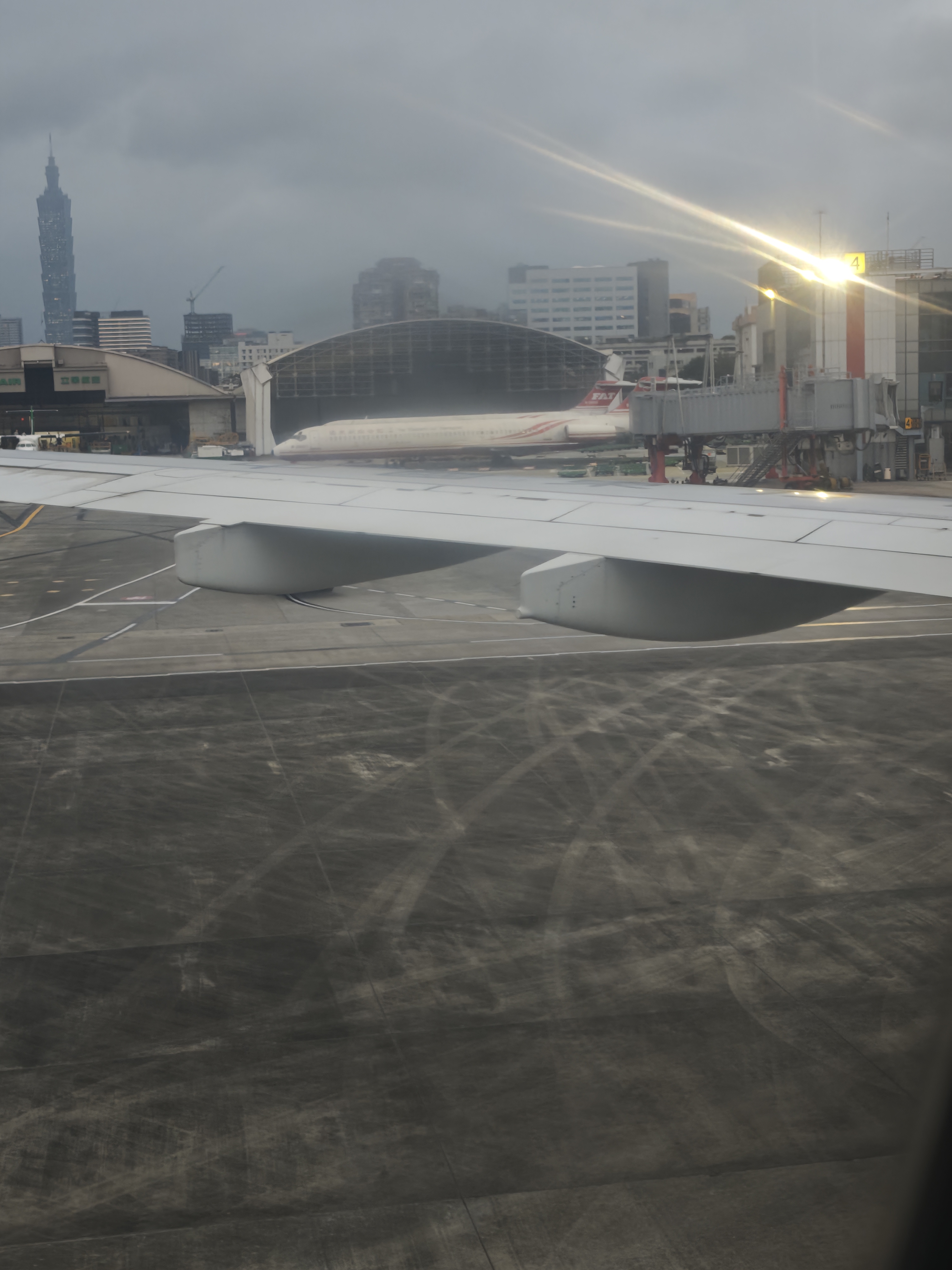 惑鹿,鹿日常,新年快乐