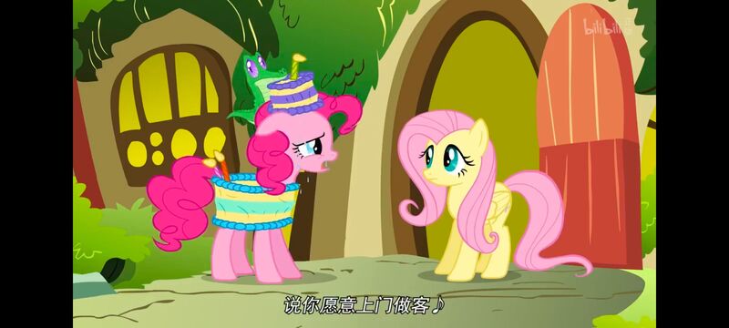 小马宝莉,小马宝莉友谊魔法,彩虹小马,我的小马驹,动画,动漫,番剧,ACG