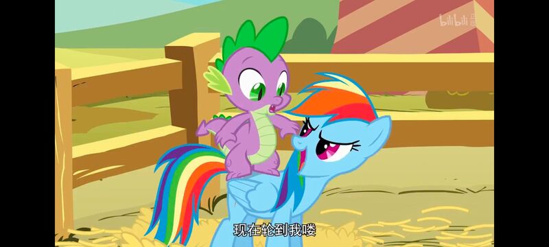 小马宝莉,小马宝莉友谊魔法,彩虹小马,我的小马驹,动画,动漫,番剧,ACG