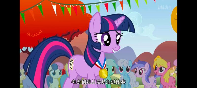 小马宝莉,小马宝莉友谊魔法,彩虹小马,我的小马驹,动画,动漫,番剧,ACG