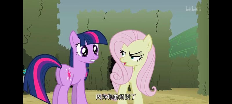 小马宝莉,小马宝莉友谊魔法,彩虹小马,我的小马驹,动画,动漫,番剧,ACG