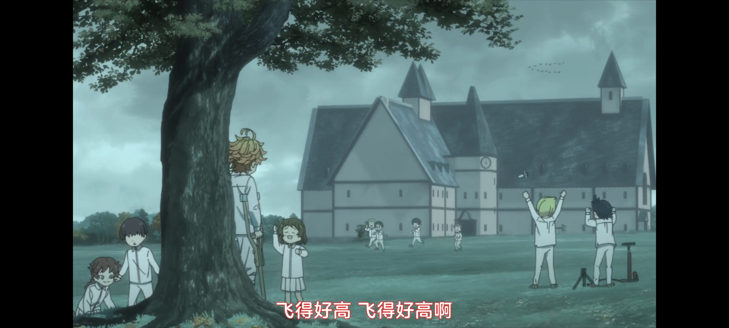 约定的梦幻岛,动画,动漫,番剧,二次元,ACG