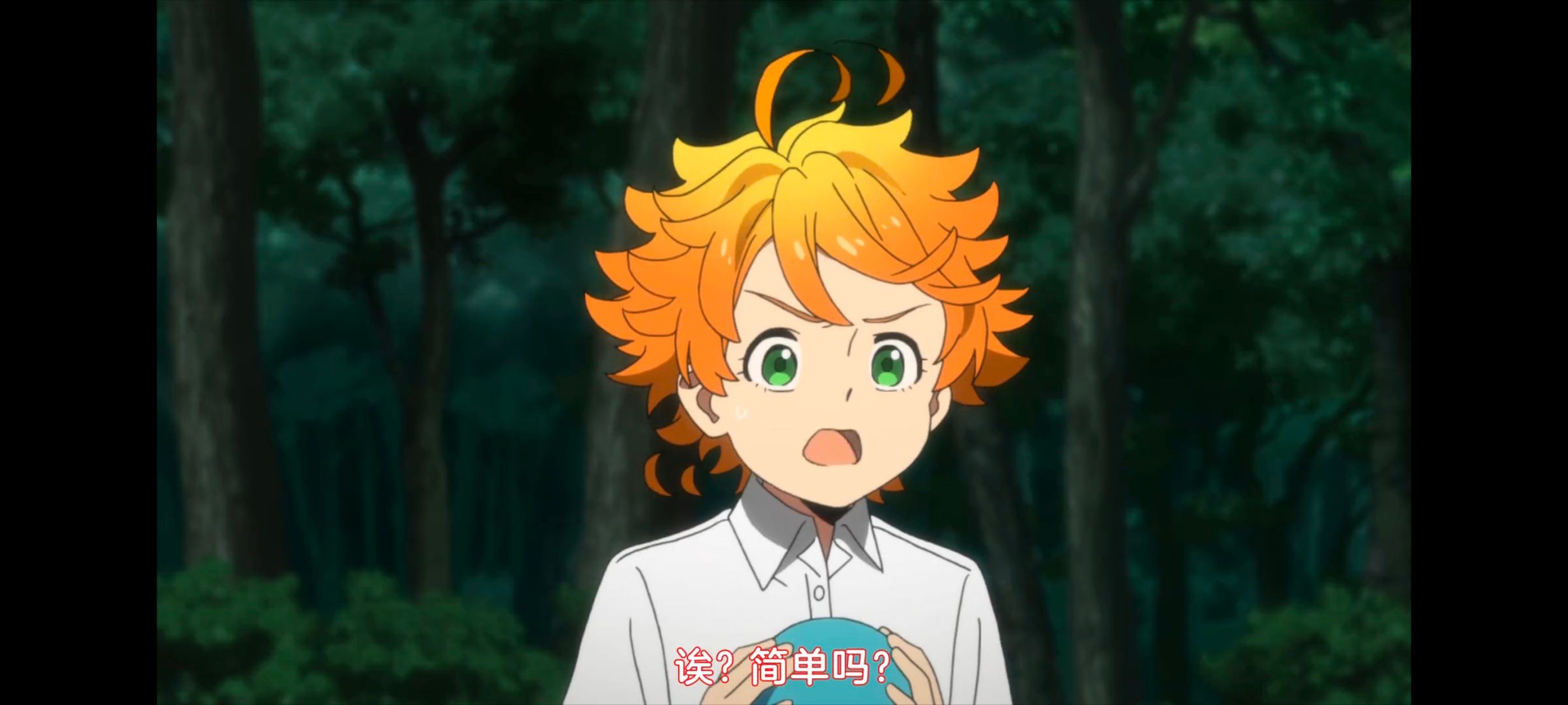 约定的梦幻岛,动画,动漫,番剧,ACG