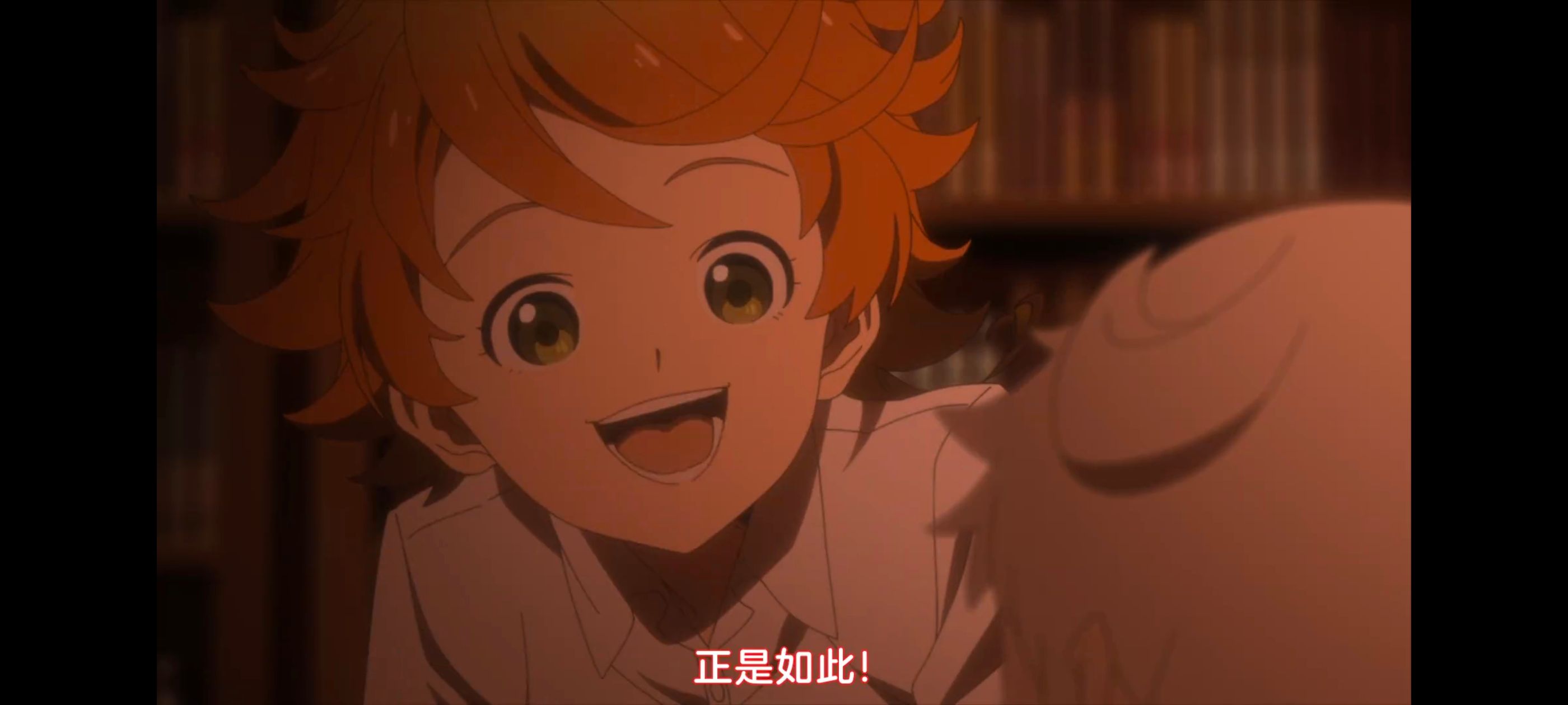 约定的梦幻岛,动画,动漫,番剧,ACG