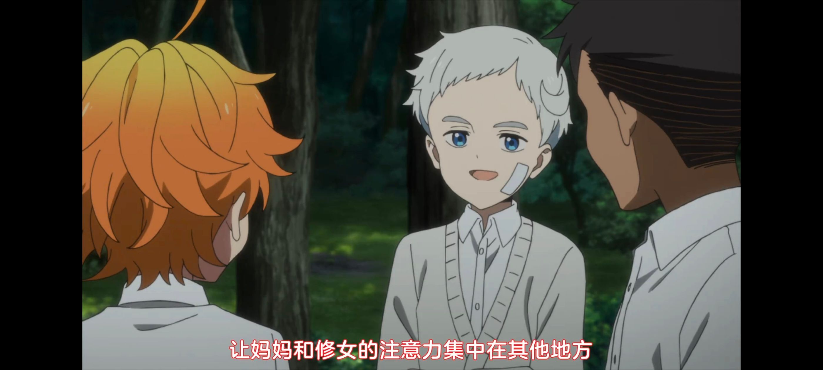 约定的梦幻岛,动画,动漫,番剧,ACG